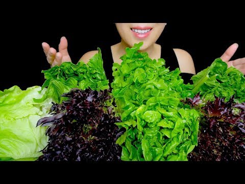 download lagu mp3 mp4 Artisan Romaine Lettuce, download lagu Artisan Romaine Lettuce gratis, unduh video klip Artisan Romaine Lettuce