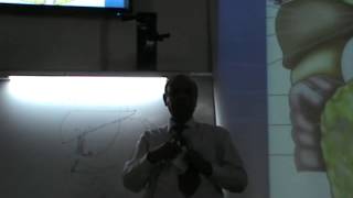 Dr.Sherif Fahmy Abdomen 6 (D3m 3) (peritoneum)