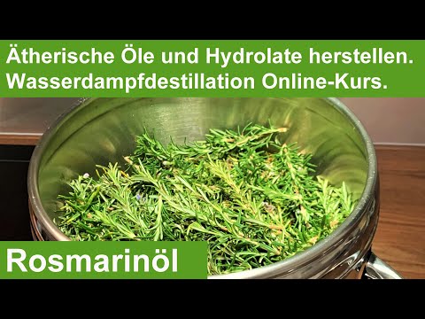 Rosmarin, Rosmarinöl destillieren. Ätherische Öle, Hydrolate, Kräuter destillieren. Mini Destille.