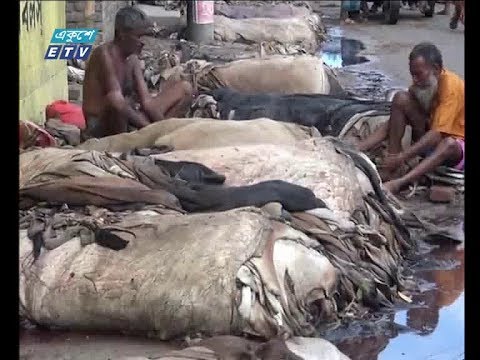 লাখ টাকার গরুর চামড়া সর্বোচ্চ ২শ থেকে ২৫০ টাকায় বিক্রি