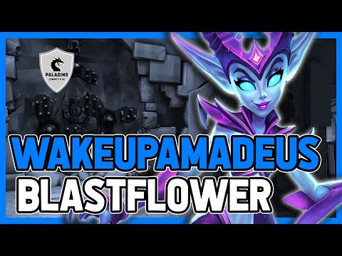 WakeUpAmadeus Willo Competitive (New Patch 3.5) BLASTFLOWER