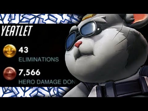 YEATLE #1 HAMMOND IN THE WORLD! 43 ELIMS! [ OVERWATCH SEASON 16 TOP 500 ]