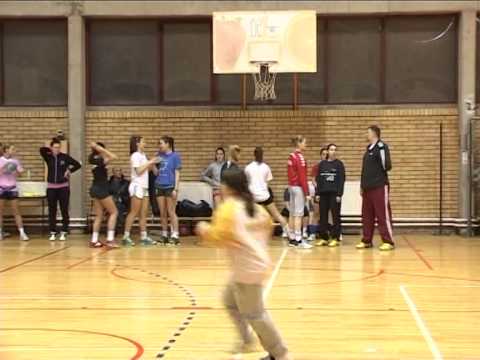 SNS Čukarica: Promocija RK Junior - Savet za omladinu i Predrag Peruničić 20.02.2014.