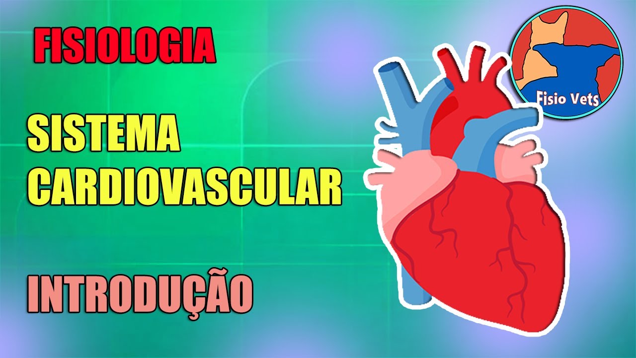 Sistema cardiovascular - Introdução - Fisiologia veterinária -  Aula 1