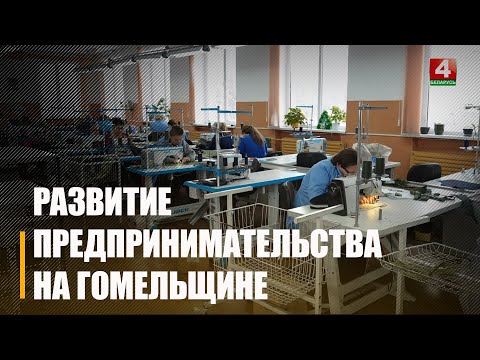 Правительство внедрило новую госпрограмму «Устойчивое предпринимательство» на ближайшую пятилетку видео