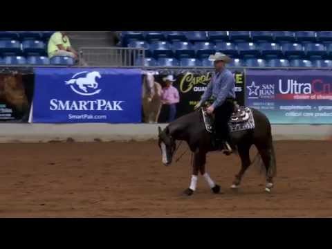Lil Light Juice Tulsa Reining Classic Non Pro Futurity Champion