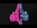 Finger Ballet From CHW DVD