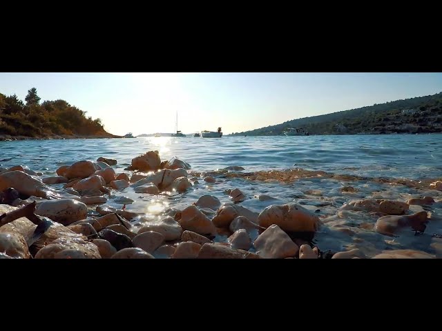 TZ Marina video 14 5 2019