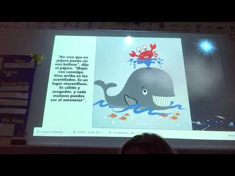 El pajaro y la ballena