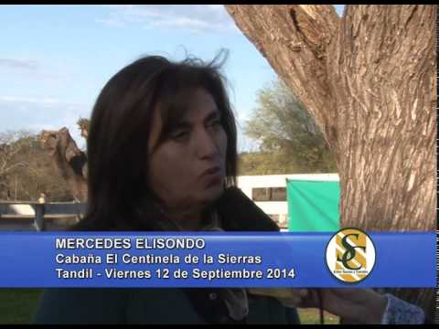 El Centinela de Las Sierras - Nota Mercedes Elissondo - Tandil - 12/09/2014