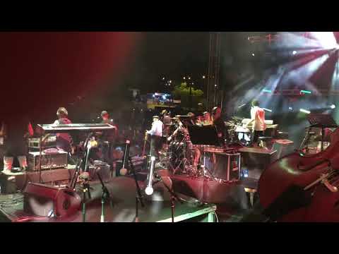 ״הדג נחש ״. עמק הפרחים לזכרה של אהובה עוזרי ז״ל לייב פארק ראשון (דורון שחר)