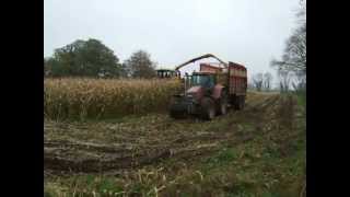 preview picture of video 'New Holland FX60 in Maize - Moylough, Galway - 11/2008 (1)'