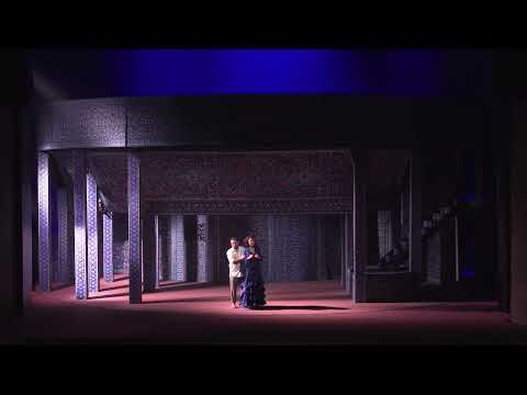 David Esteban, Dara Savinova - Carmen Finale