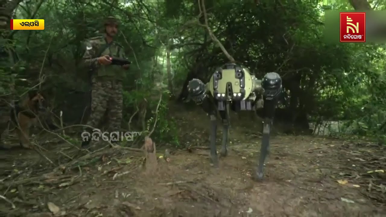 'Robotic MULE' Game-Changer for Border Security | Indian Army Gets Robotic MULE At LoC in Sunderbani