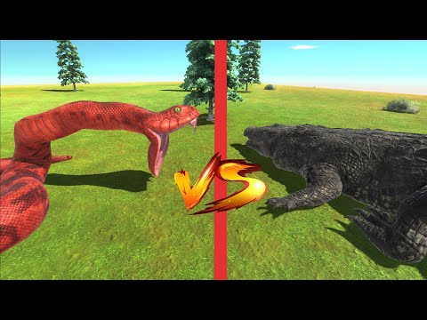 Titanoboa VS Purussaurus | EPIC BATTLE