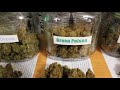 Todays Selection