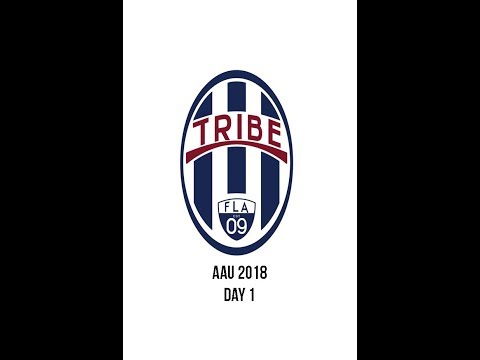 AAU Tribe 14 Sebastian vs VA Elite S1