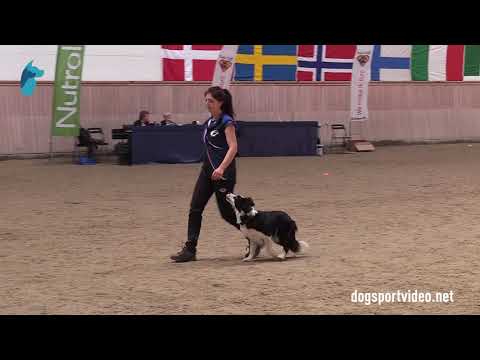 Qualification - Jana Grešová + Kirke Želečský Hrádek/Border Collie - Czech Republic