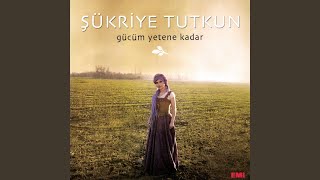 Bir Firtina Tuttu Bizi