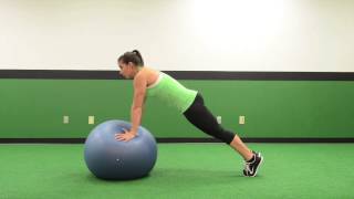 172. Stability Ball Push Ups (Hands)