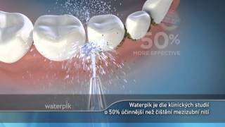 Waterpik Aquarius Professional WP660
