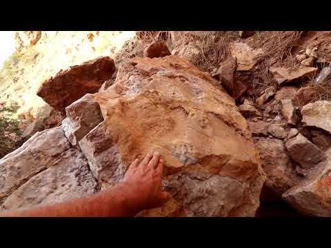 Permian Triassic extinction interface near Zion national park.