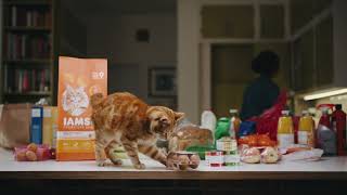 Iams — IAMS CATS GONNA CAT - PUSH 6\"