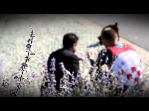 Trik&TV - David Šain