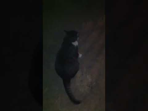 245217551 200676965510204 3154594571394774946 n