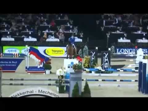 CROWNTANO Z: Zangersheide stallion by Carthago Z x Ramiro Z (Ratina), www.equine-evolution.com