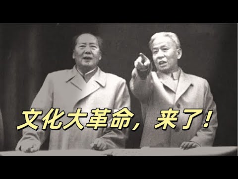 文化大革命3，文革的序曲和习近平性格的由来，他为什么和薄熙来大相径庭？刘少奇为什么能做接班人，高饶事件和斯大林去世的内在关系是什么？彭德怀，李尚福两位国防部长被罢免的相同点？#毛泽东#刘少奇#习近平