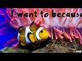 Whatsapp Status Video I Can Because You Said I Couldn T