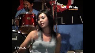 Download lagu PANTURA 250208  - Acha Kumala - Di Simpang Jalan mp3