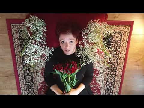 London's Dreadful Visitation: The Black Death and The Great Plague