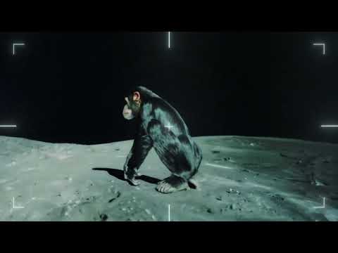 Introducing Marey by Moonvalley