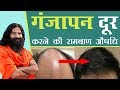 गंजापन Baldness दूर करने की रामबाण औषधि Swami Ramd