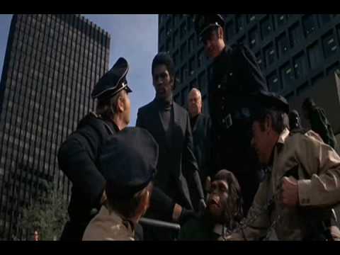 Planet of the Apes Racism?