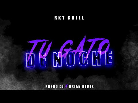 GATO DE NOCHE - RKT CHILL - PUSHO DJ FT BRIAN REMIX