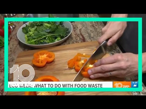 Food waste: Reducing how much you throw away can actually save you money