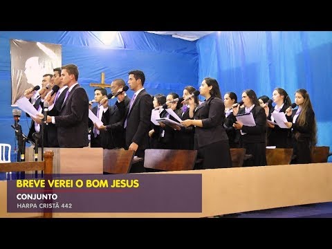 BREVE VEREI O BOM JESUS  - Conjunto (442 Harpa Cristã)