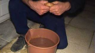 Download lagu Elaboración del Cerote.avi mp3