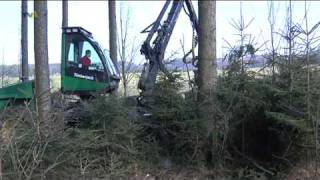 preview picture of video 'Rohstoff Holz: Waldbauer zeigt für welche Arbeiten es jetzt höchste Zeit ist'