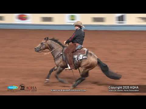 SHINEY OUTLAW shown by JAY MCLAUGHLIN   2020 AQHA World Show Senior Working Cow Horse, Finals
