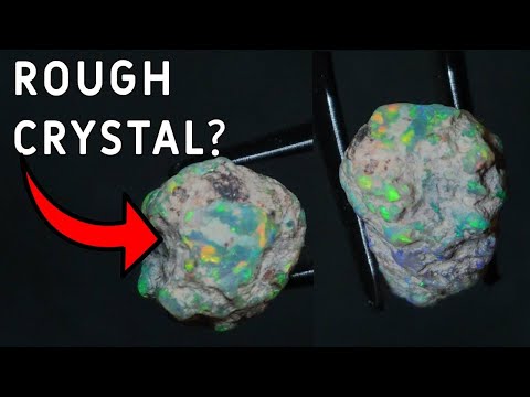 ROUGH OPAL takes unexpected turn?