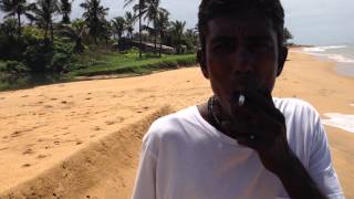 preview picture of video 'Sri Lanka - Mount Lavinia Beach: Saving A Friend'