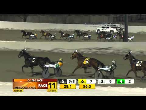 Meadowlands January 30, 2015 - Race 11 - Master Of Law