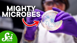 Meet Your Microbiome!