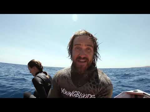 HOW TO TELL THE AGE OF A FISH Mangrove Jack Catch And Cook - Ep 128 💖💖💖