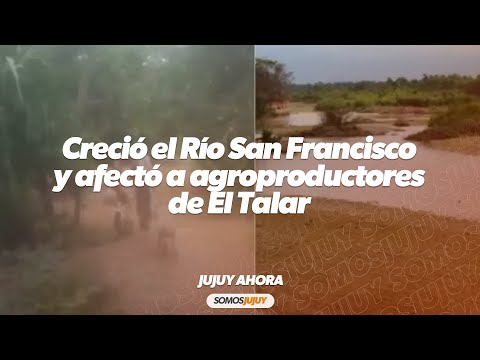 Creció el Río San Francisco y afectó a agroproductores del Talar: así rescataron a los animales