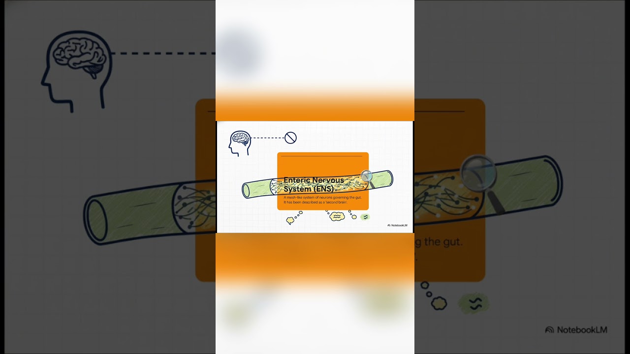 You Have a Second Brain (And It’s in Your Stomach) 🧠